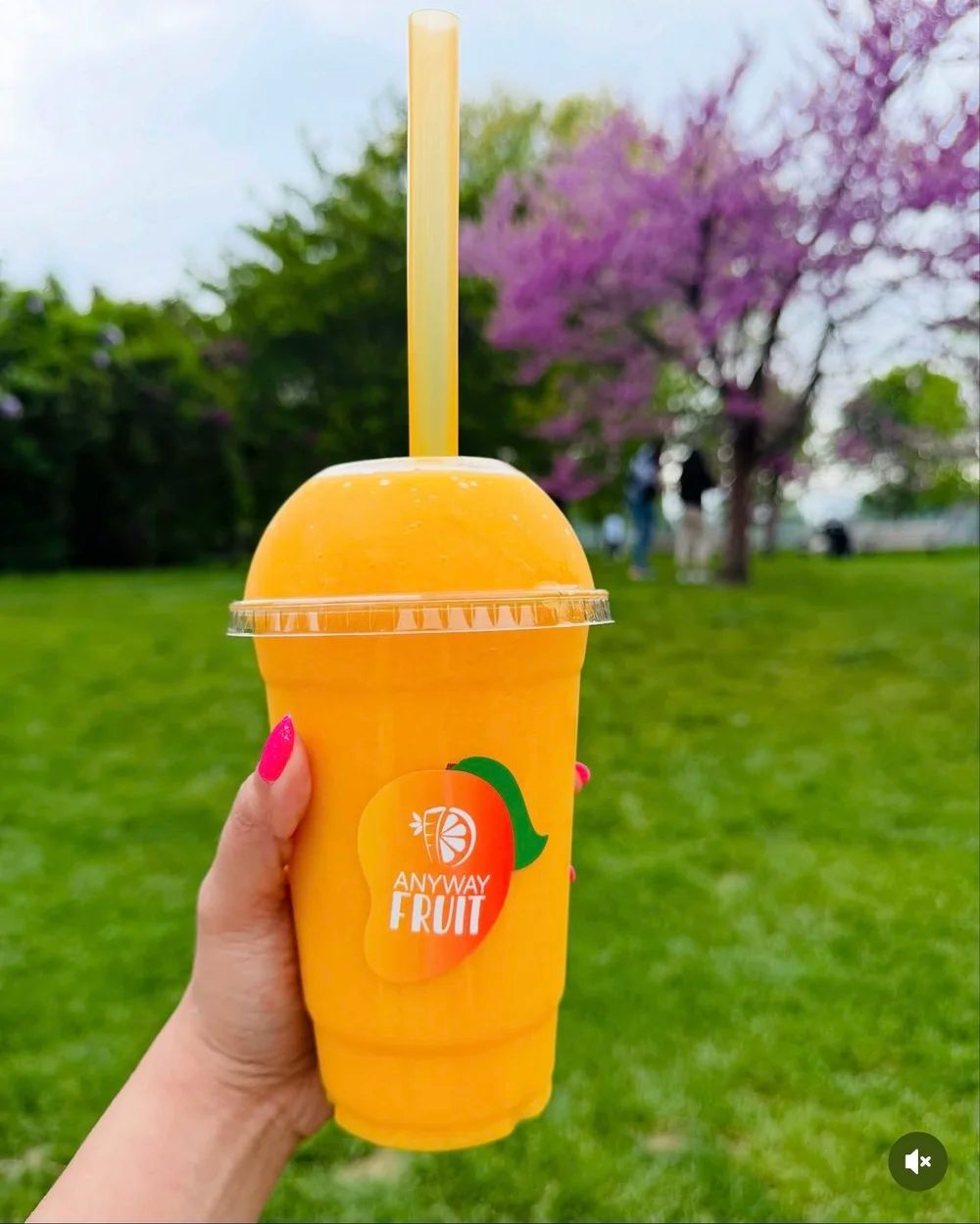 Private party fruit cups