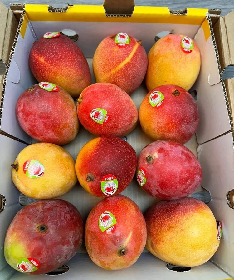 Tree-ripened mango